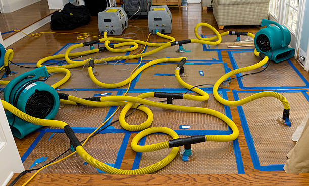 Professional Sewage Cleanup technician working in Ashton, IL